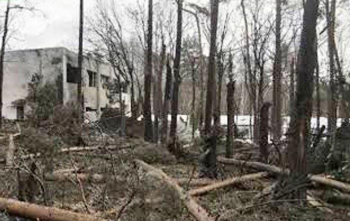 В Україні подали перший позов проти росіян за екологічні збитки