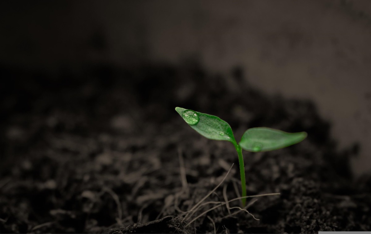 Суперкомп&rsquo;ютер NASA назвав приблизну дату кінця життя на Землі