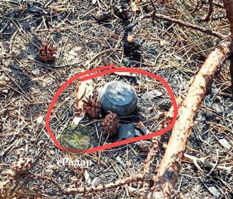 Загроза для тилу: російські міни Пряник